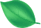 map leaf