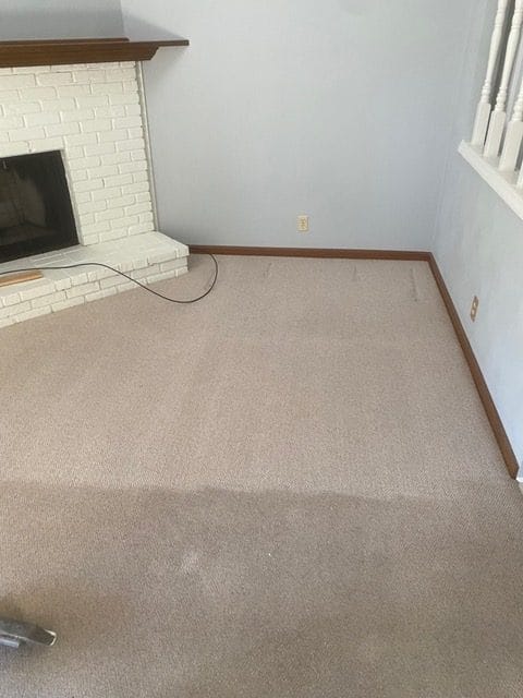 carpet 2 rotated